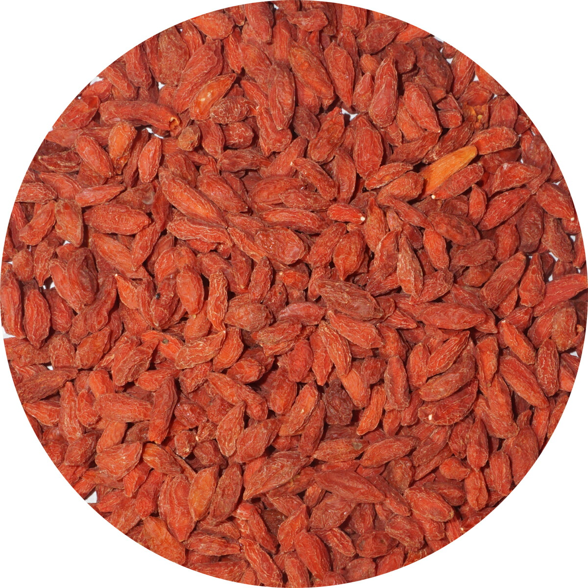 ドライ クコ の 実 ゴジベリー 3kg goji berry アメ横 大津屋 業務用 ナッツ ドライフルーツ 製菓材料 枸杞 枸杞子 くこし chinese desert thorn くこ