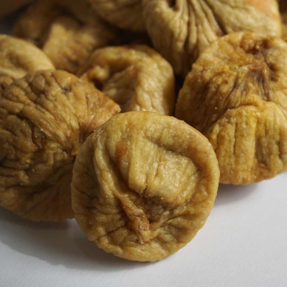 現物「ナツメヤシ」10号 現物「ナツメヤシ」10号 ナツメヤシ 10号 - 植物と暮らす m-plant