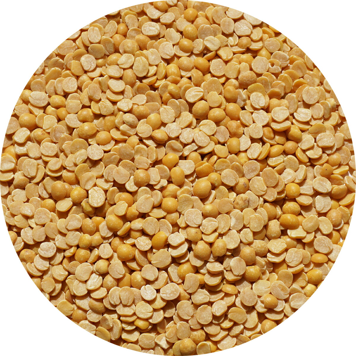 楽天市場】2024年度産 北海道 十勝産 10kg 小豆 アメ横 大津屋 azuki