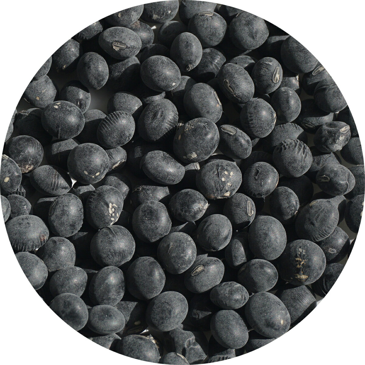 くろまめた様ご確認ページ imgrc0116778462.jpg