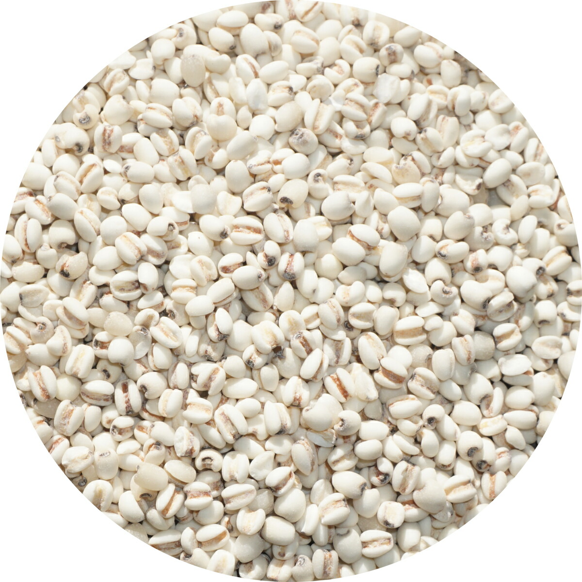 楽天市場】2025年度産 北海道 十勝産 小豆 アメ横 大津屋 azuki bean