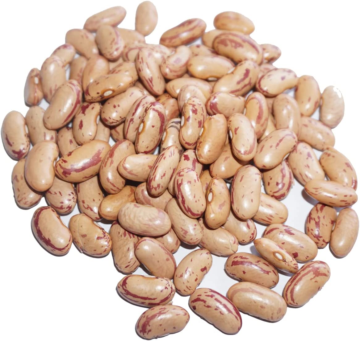 楽天市場】ピントビーンズ 1kg ラジマ チットカブラ ピント ビーンズ ピント豆 pinto bean common bean インゲン豆 インゲン  : アメ横大津屋スパイス・豆の専門店