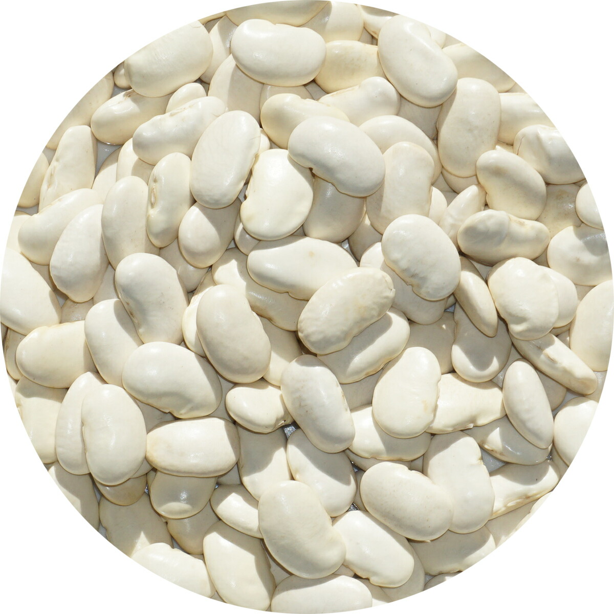 小豆です 102DEF a.k.a.でぃぎん♪@麺in Source (@UMB102def) / Posts / X