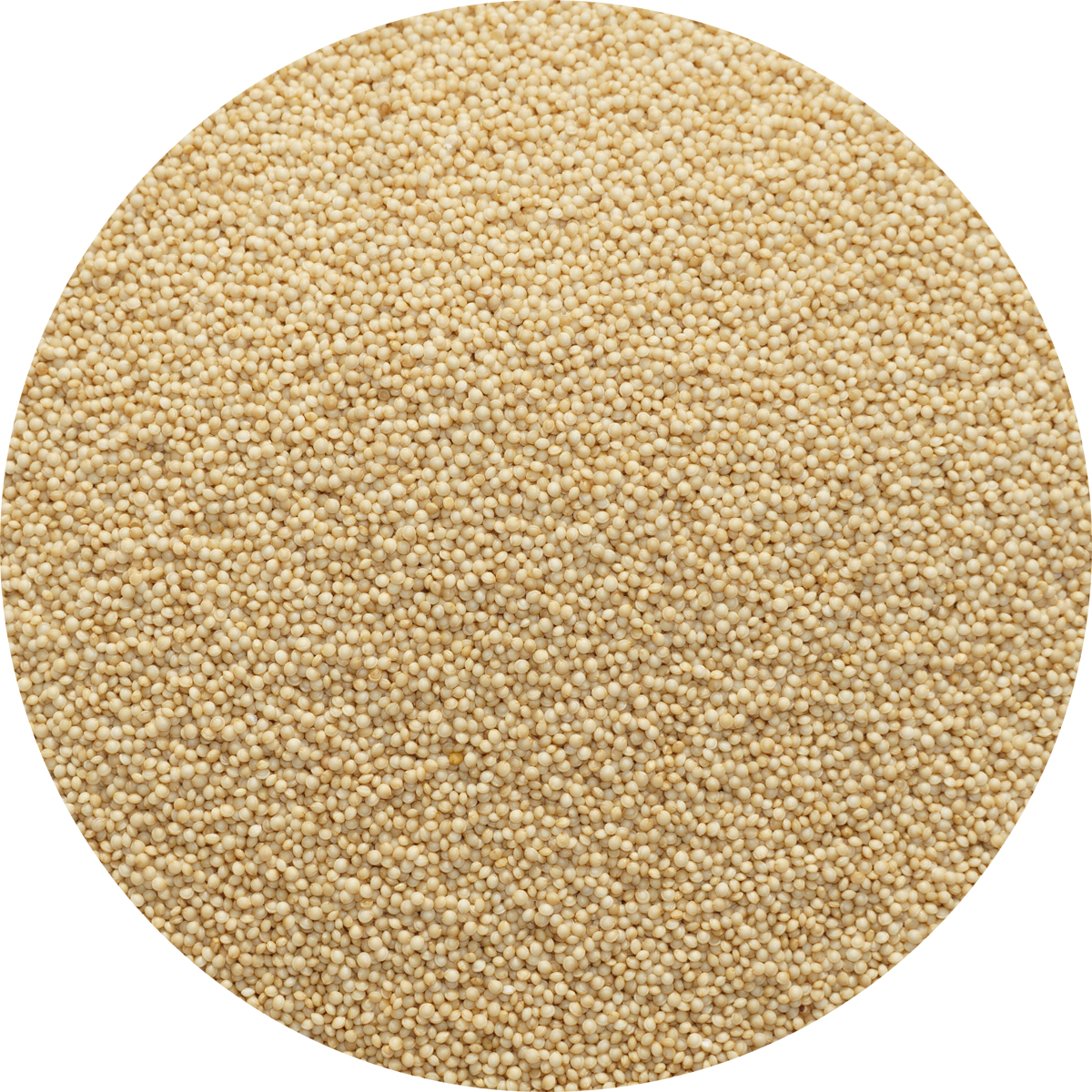 楽天市場】アマランサス 1kg amaranthus アマランス amaranth あまらん