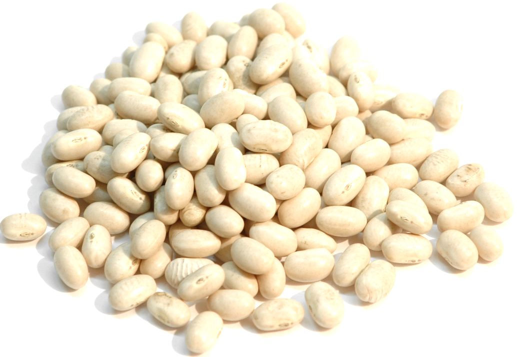 楽天市場 21年度産 北海道産 大てぼインゲン豆 大手忙豆 500g 配送方法メール便選択時一配送商品1個まで対応ご対応 アメ横大津屋スパイス 豆の専門店