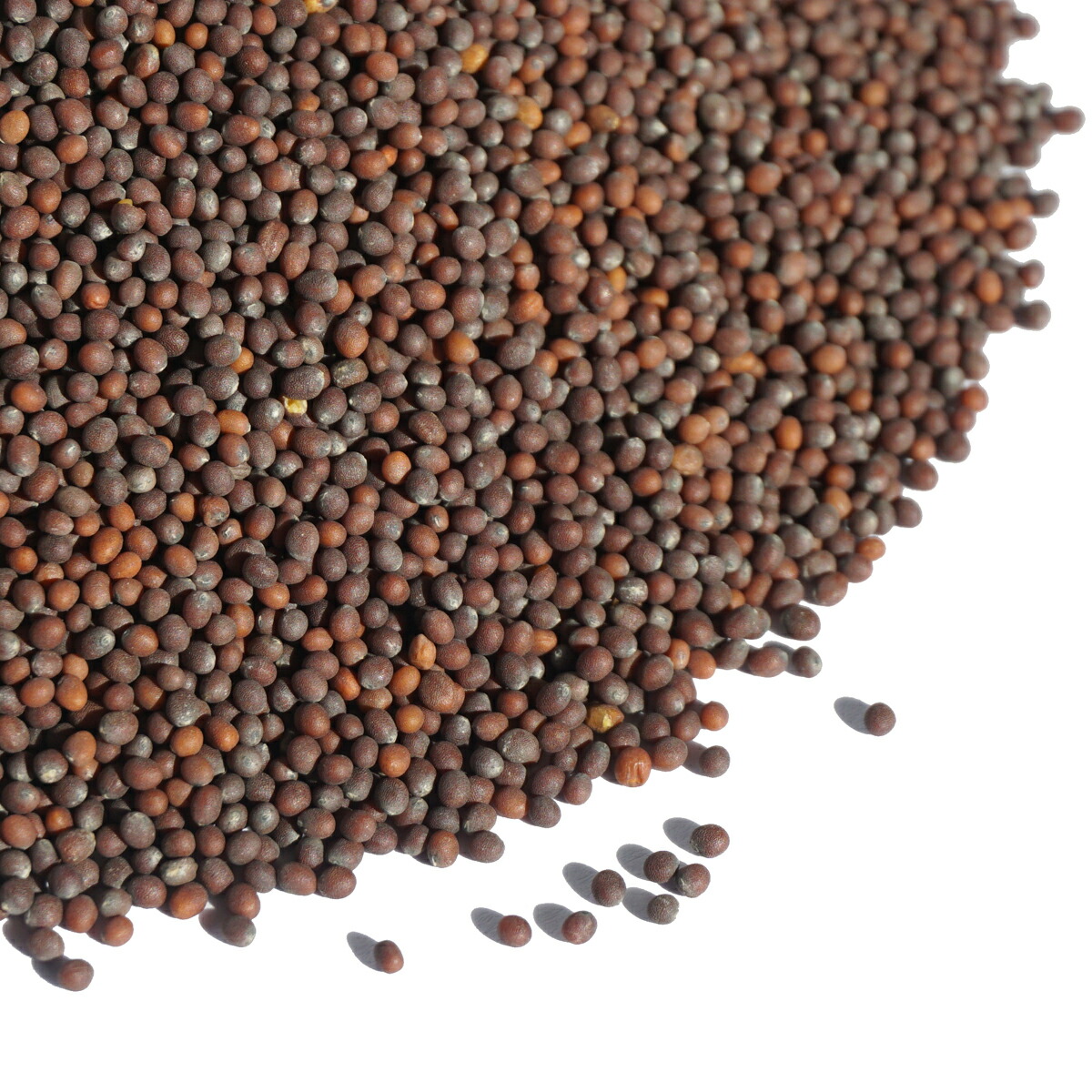 小豆ページ Amazon.co.jp: アメ横 大津屋 北海道 十勝産 小豆 azuki bean
