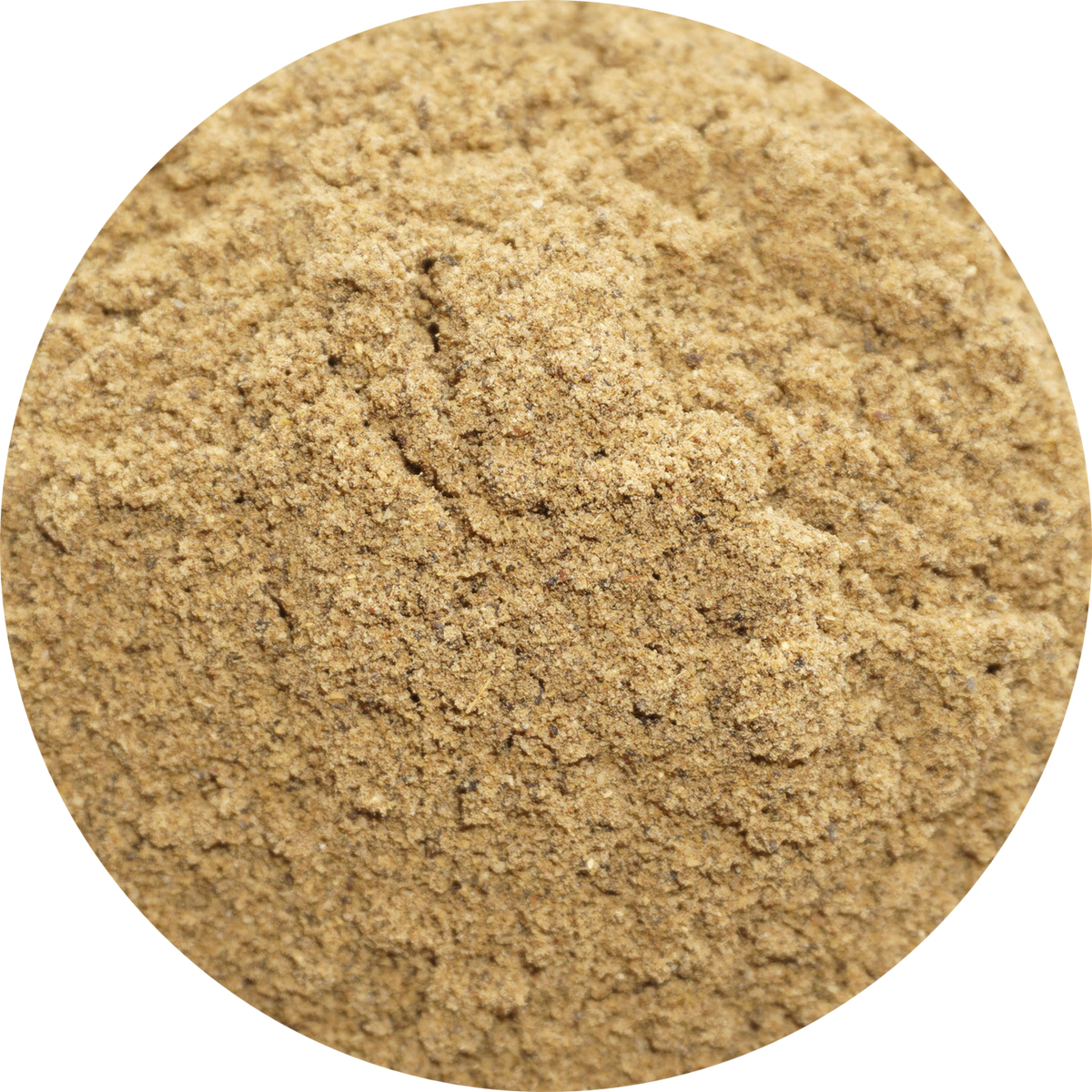 なつめぐ 楽天市場】ナツメグ パウダー 粉末 アメ横 大津屋 nutmeg
