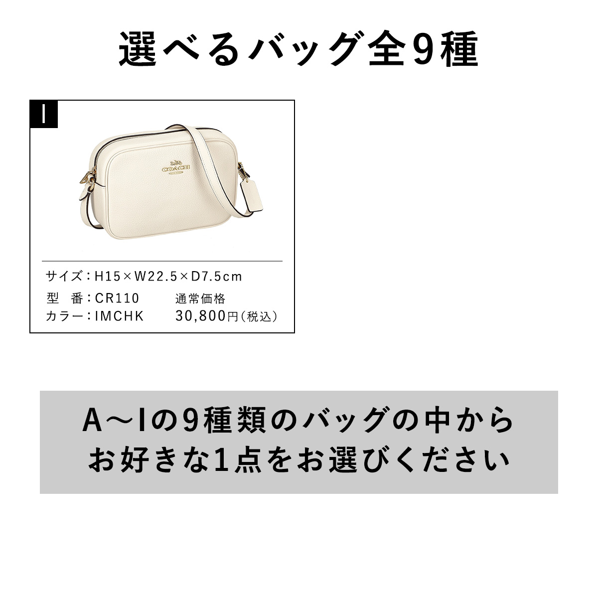お一人様3点まで※ COACH 9種から選べる + ランダム福袋 コーチ 福袋 