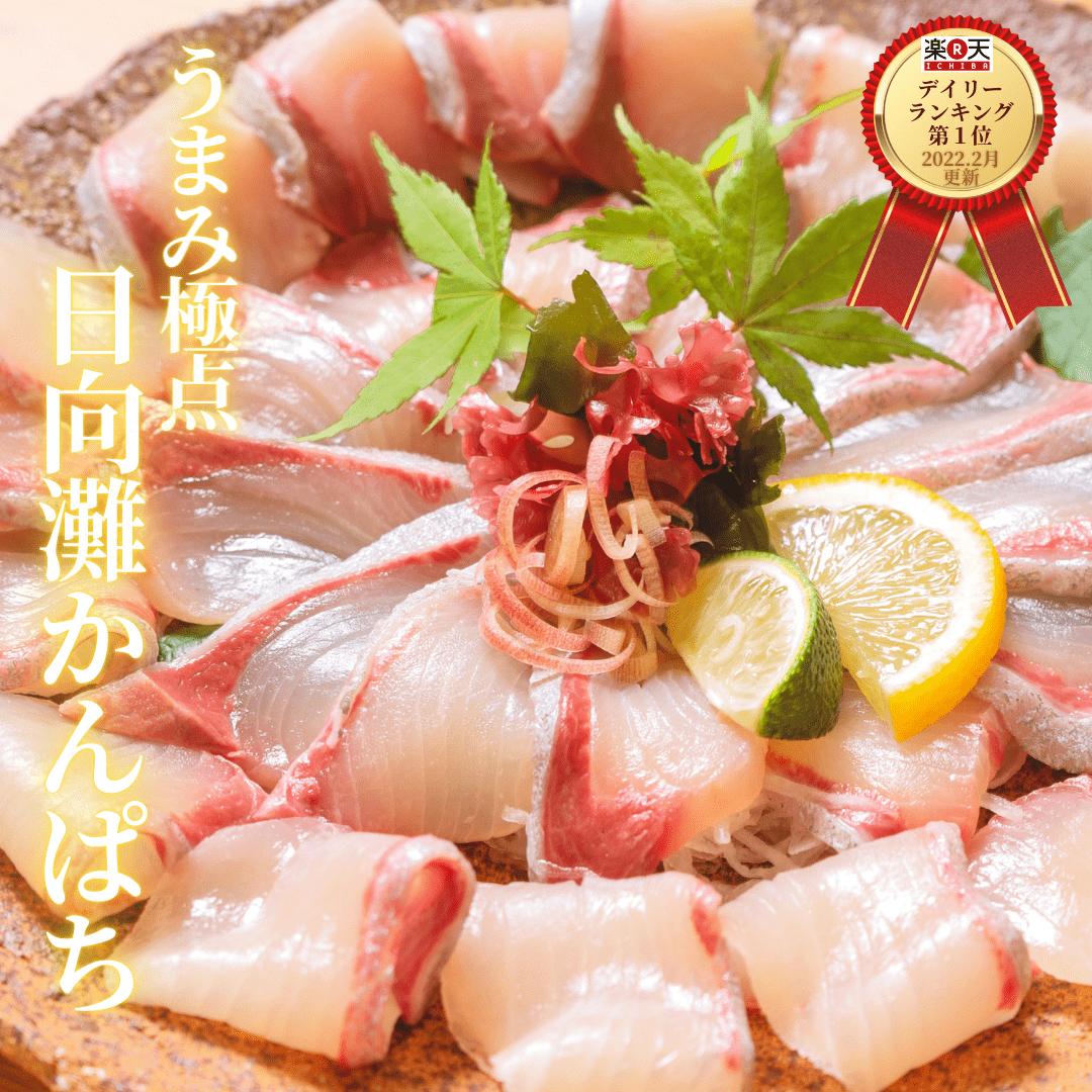【6日間限定☆最大37％OFF！5/23(金)20時スタート☆食卓応援セール！】父の日 かんぱち 刺身 楽天ランク１位 お刺身 柵 さく 刺し身 さしみ 切り方レシピ付き お取り寄せ お取り寄せグルメ 海鮮◆＜うまみ極点かんぱち 約600ｇ(580～620g前後)＞