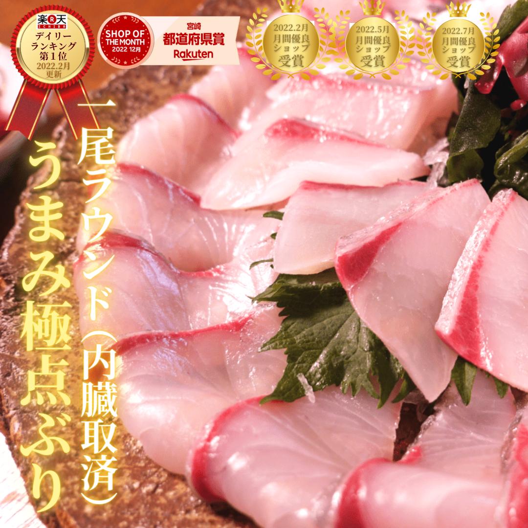 ブリ １尾  寒ブリ 刺身 冷蔵 柵 バレンタイン 母の日 父の日 敬老の日 ギフト おつまみ 海鮮 切るだけ◆＜日向灘ぶり(はまち）刺身／津本式・究極の血抜き／１尾ラウンド・丸（内臓取済）＞