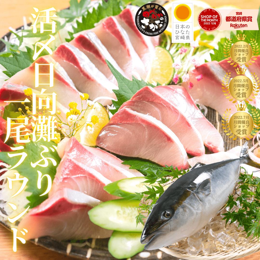 ぶり １尾 寒ブリ 刺身 冷蔵 柵 バレンタイン 母の日 父の日 敬老の日 ギフト おつまみ 海鮮 切るだけ◆＜ 活〆日向灘ぶり(はまち）１尾ラウンド＞