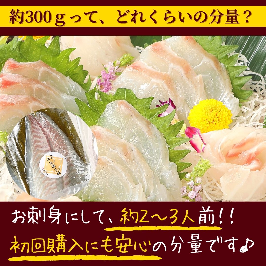 市場 刺身 刺し身 まだい 切り方レシピ付き さしみ お取り寄せ 盛り合わせ 真鯛 たい お刺身 桜鯛 お取りせグルメ 冷凍 昆布締め ギフト