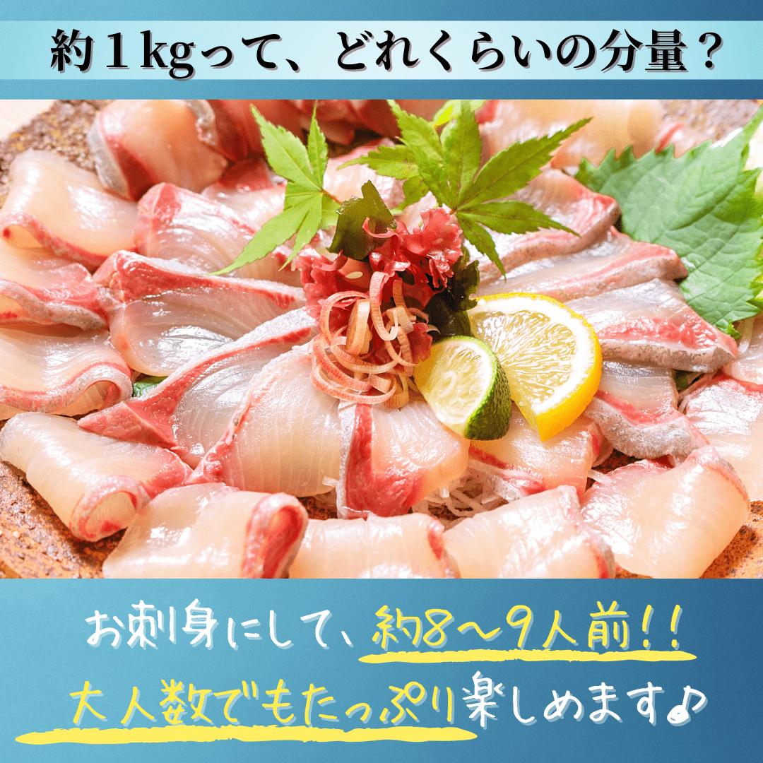 セール＆特集＞ アジのタタキ80g 国産 あじ 鯵 刺身 海鮮丼 yd5 アジたたき80g