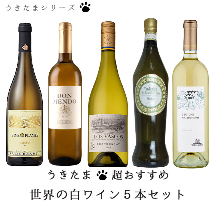 【送料無料】うきたま 超おすすめ世界の白ワイン５本セット (白ワイン ワインセット)
