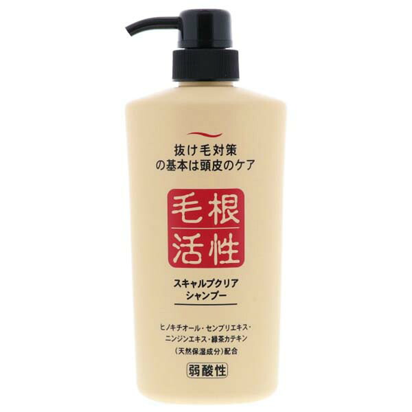 【5個セット】 スキャルプクリアシャンプー