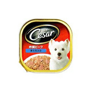 【24個セット】 シーザー 吟選ビーフ まぐろ入り 100g ドッグ フード ドックフート犬 イヌ いぬ ドッグ ドックdogワンちゃん 厳選素材