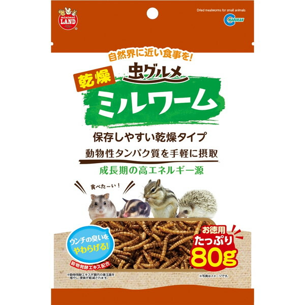【12個セット】 マルカン 虫グルメ乾燥ミルワーム 80g ハリネズミ・モモンガ・ハムスター・リスなどの小動物 ML-237 MARUKAN 乾燥ミルワーム ハリネズミ 小動物用フード ミルワーム ペットフード ハムスター ペット用品 おやつ タンパク質 エサ 小動物 厳選素材