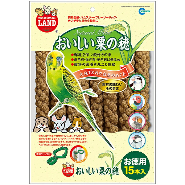 【10個セット】 マルカン おいしい粟の穂 お徳用 15本 プレーリードッグ ストレス解消 小動物用フード ハムスター ペット用品 おやつ チンチラ インコ 小動物 サンライズ リス フード えさ ペット 文鳥 間食 小鳥 ミニマルランド 厳選素材