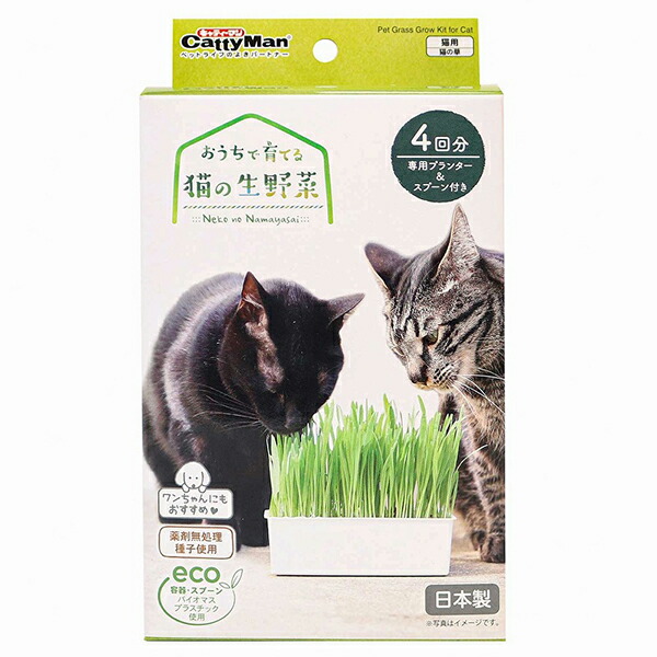 【10個セット】 ドギーマンハヤシ おうちで育てる 猫の生野菜 4回分 猫フード ペット用品 ドギーマン キャット 食物繊維 グッズ 日本製 ペット 猫草 猫用 補助食 猫草栽培キット キャティーマン 厳選素材