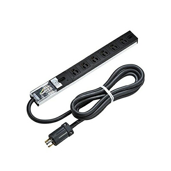 サンワサプライ 19インチサーバーラック用コンセント(20A) TAP-SVSL206 高品質