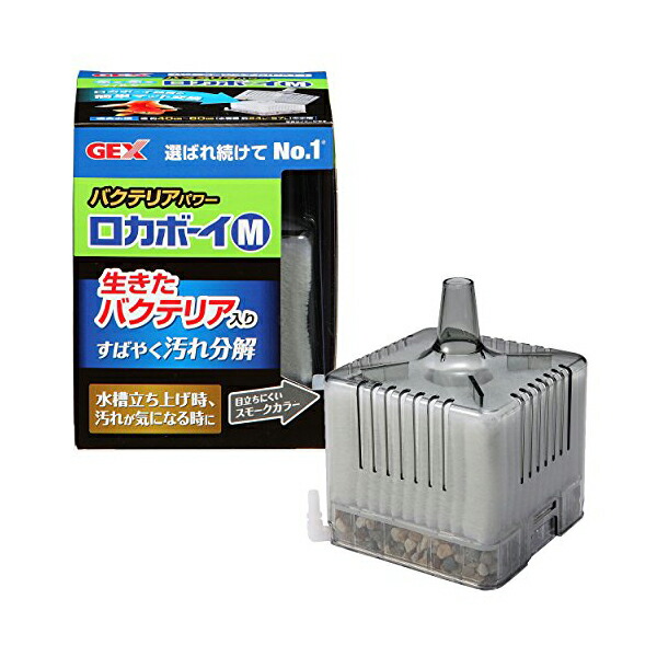 圧倒的人気 【即日発送】  【ML9O3O9QQW0】 限定デザイン