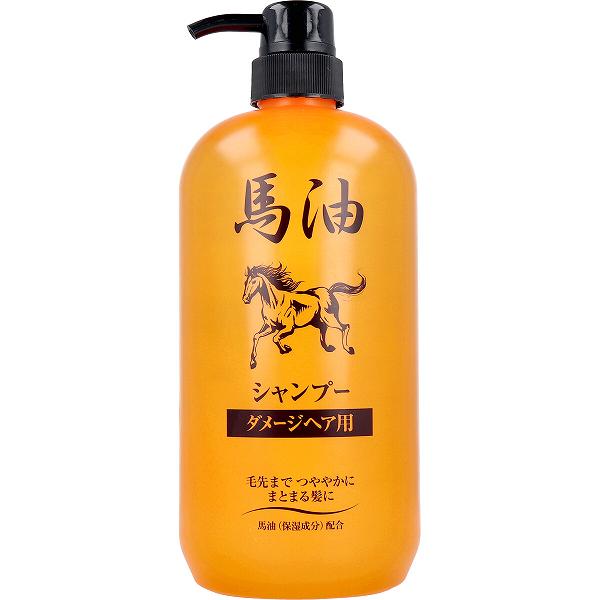 【12個仕掛ける】 ジュン優しいこと 馬油シャンプー 不都合髪の毛用 1000mL しっとり シャンプー 純薬 ジュンコスメティック 髪の毛世話をする 取りつくろう 馬油 潤い 美容 保湿 雪ぐ 毛先 うるおい バーユ 不都合髪の毛 不都合 地肌 髪の毛世話をする設備 リンスイン