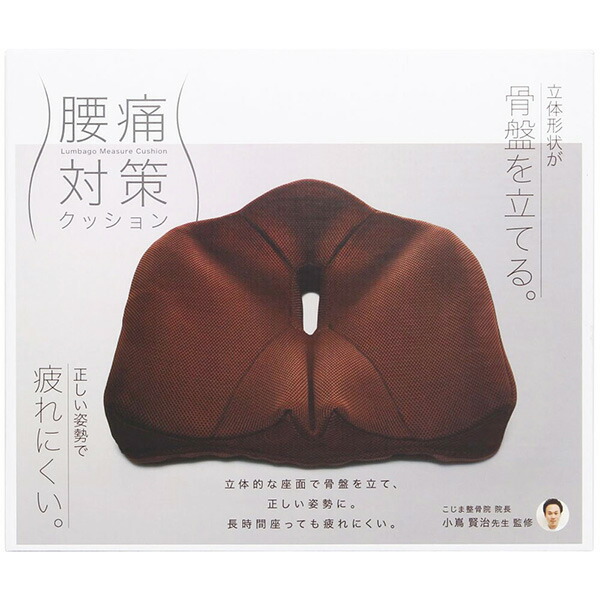 【10個仕掛ける】 コジット 腰痛打つ手座布団 赤銅色 女性議長 前かがみ 御召しもの小物 身のこなし ウレタン 新生きて行く 思わしいグッズ 御召しもの 介護 介護設備 身のこなし更生させる 骨盤帯 腰痛 座蒲団 学習机細工物 メッシュ 低手向かい 座布団 骨盤帯受け支える 覆いかぶせる付き添い人 テレ細工物 通気性 執務室 竹炭