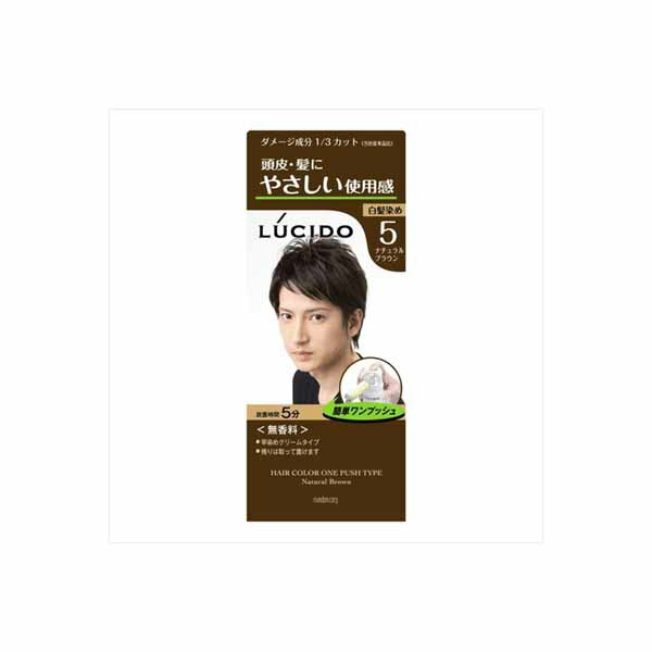 【12個セット】 ルシード ワンプッシュケアカラー ナチュラルブラウン 医薬部外品 マンダム ヘアカラー|むさしのメディア 店