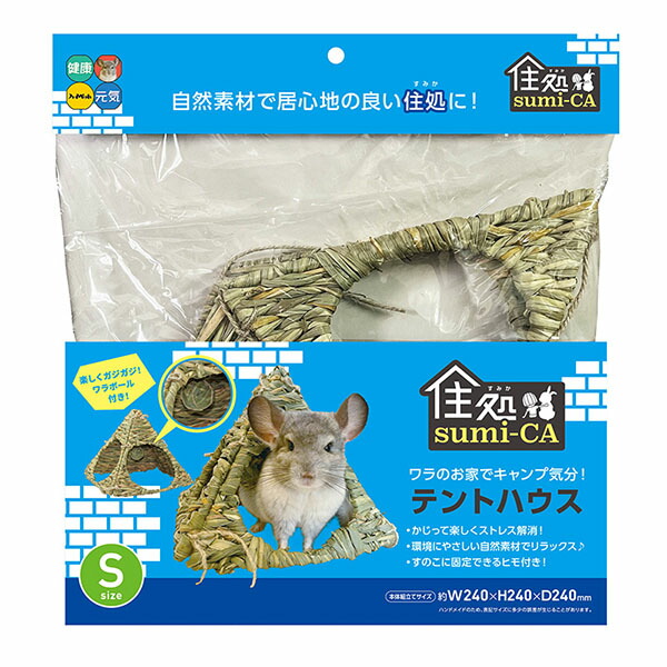 今季注目 本日発送  【MQAC26DQGUO】 限定デザイン