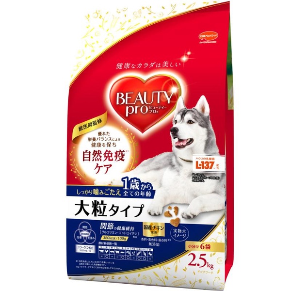 【6個仕掛ける】 日本愛玩動物ボンネット もの言う花労働者階級 飼い犬 大粒手合い 1歳から 2.5kg