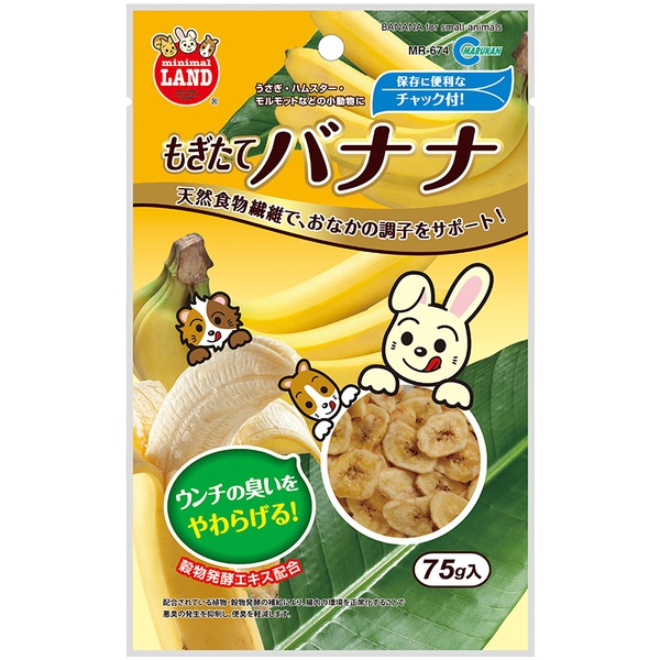 【48個仕掛ける】 マルカン もぎたてバナナの木 75g