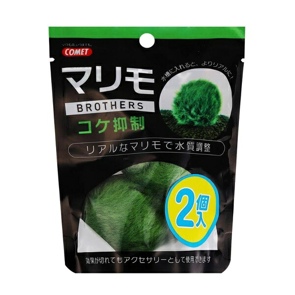 【10個書き割り】 イトスイ マリモブラザーズ 蘚苔押さえ付ける 2個入