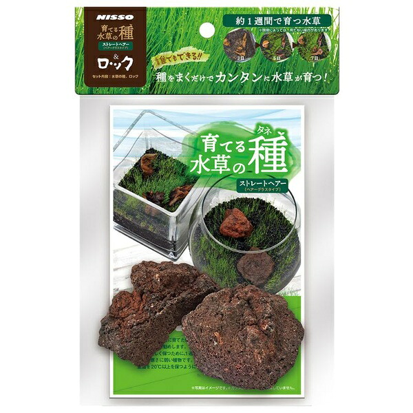 【10個書き割り】 マルカン ニッソー 育てる水草の種 ストレートヘアー＆鍵を掛ける