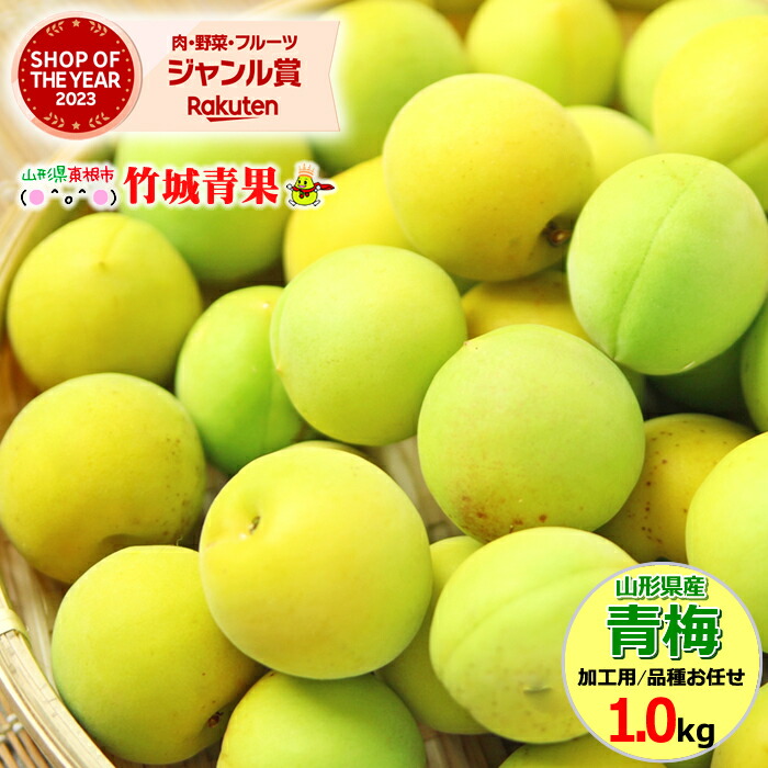 morie様　山梨県産　白加賀梅　青梅　20kg　今月下旬頃から順次発送！ 2024daiiti_0079.jpg