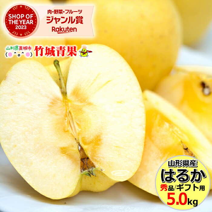 楽天市場】＼5と0のつく日は店内全品ポイント10倍！／【即日発送実施中