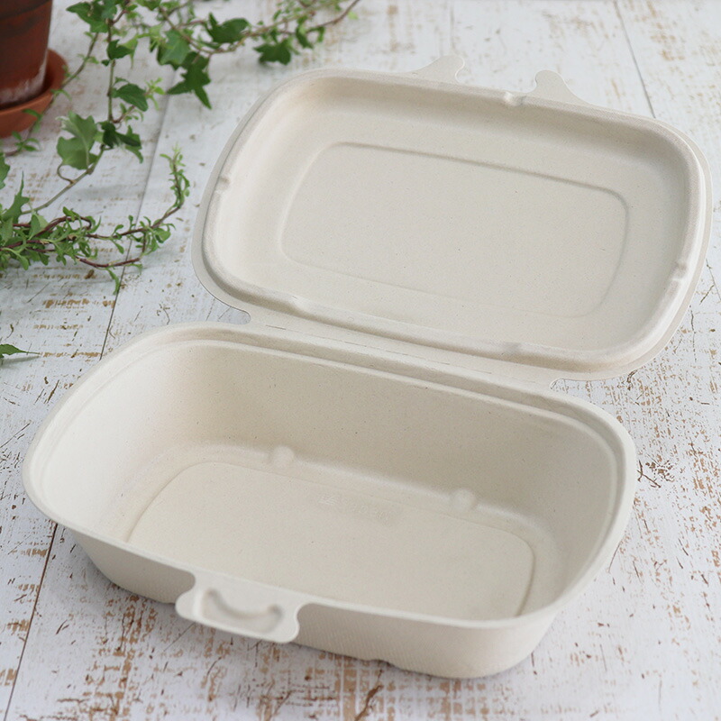 ★500円 クーポン有★ 'バガス 再生紙製容器 パルプヒンジコンテナ L （680ｍｌ）226×166×52 300個セット （サトウキビの搾りカスから再生された堆肥可能なパルプ製）業務用 大容量 （メーカー直送品） 22,423円
