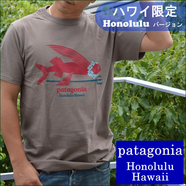 patagonia hawaii tshirt