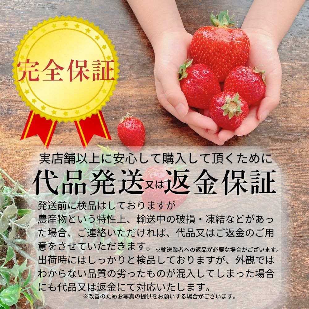 かおりの いちご 280g×４パック フルーツ・果物 | eu-agencies.net
