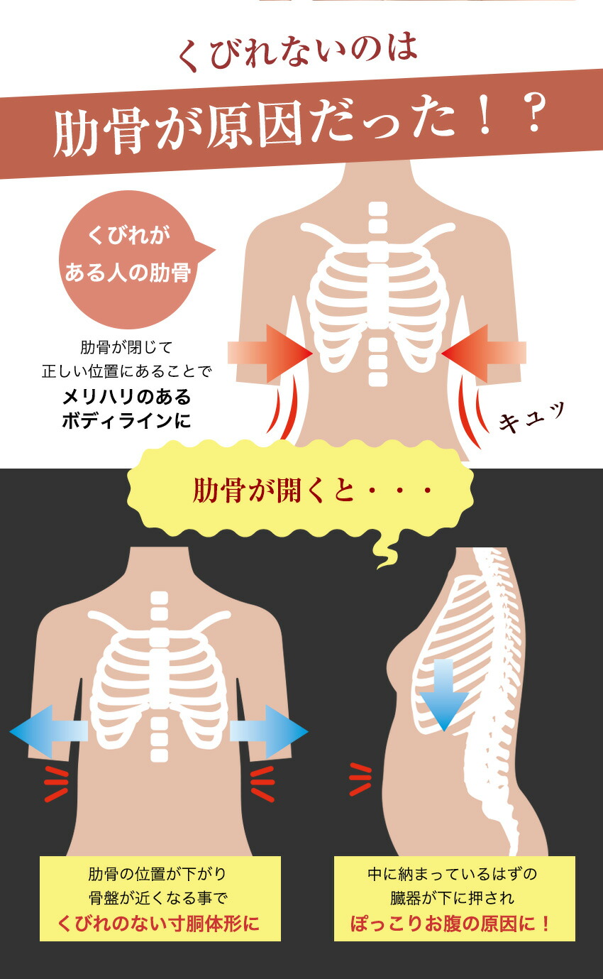 楽天市場 期間限定セール コルセット ダイエット ウエストニッパー ロング くびれ ベルト くびれ美人 大きいサイズ 産後 補正下着 蒸れない スリム Candy Store