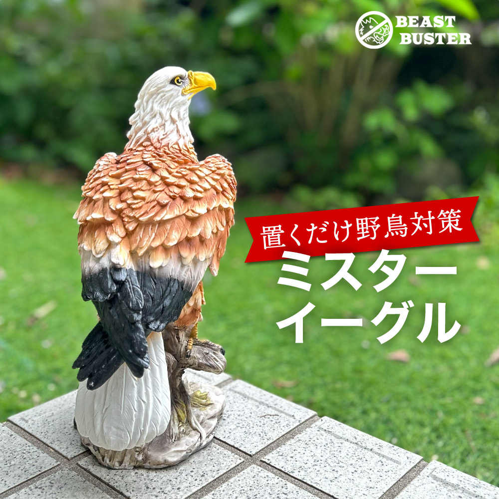 楽天市場】鳥獣駆除 鳥よけ 鷹 ミスターイーグル 鳥よけグッズ 鳥除け 防鳥 害獣 撃退 置き物 鷹 鷲 タカ ワシ 置物 ベランダ 庭 玄関 :  Candy Store