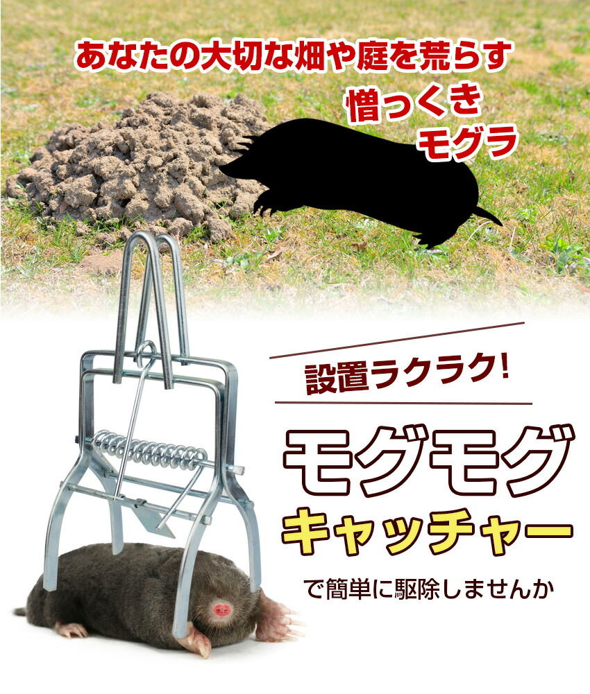 専門店では 10個 モグラ捕り 手付き モグラ もぐら もぐらよけ 撃退 駆除 退治 捕獲器 捕り 取り 対策 罠 ヤマトキ製作所 HZ 