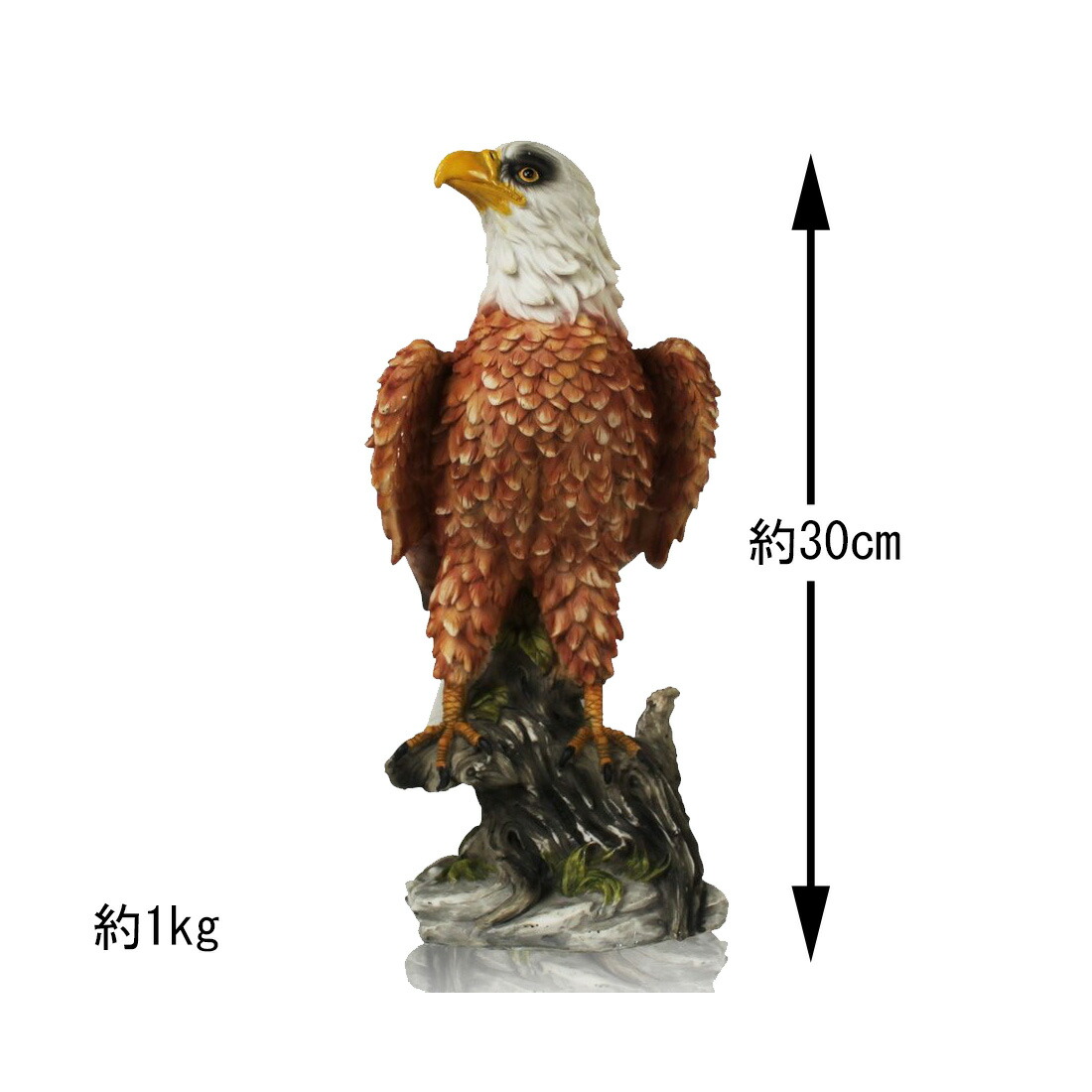 楽天市場 クーポン利用で3480円 鳥獣駆除 鳥よけ 鷹 ミスターイーグル 鳥よけグッズ 害獣 撃退 置き物 鷹 鷲 タカ ワシ 置物 Candy Store