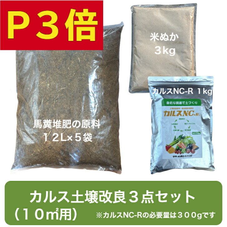 ＼BOROの明滅する光／【御花・草片反っくり返る】こんなお庭になりました！