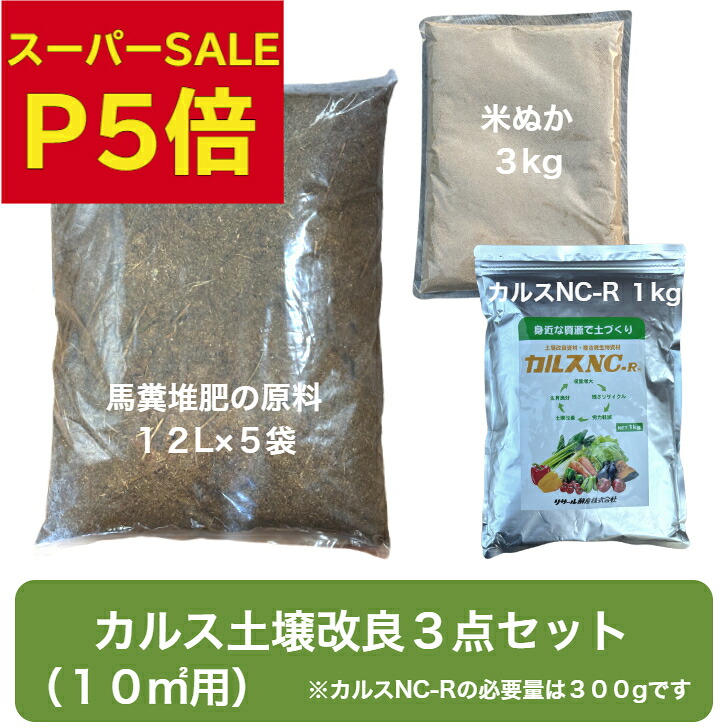 ＼BOROの明滅する光／【御花・蔬菜反っくり返る】こんなお庭になりました！