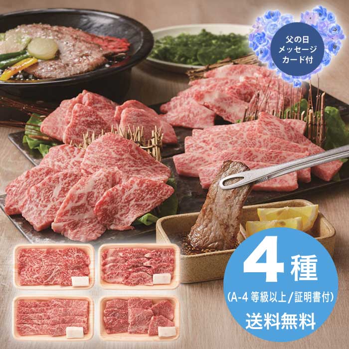 ＼期間限定クーポン付／母の日 5/8-10お届け 松阪牛人気の焼肉4種食べ比べセット 480g 2026 ギフト 肉 肉ギフト 柔らかい 焼肉 家 牛肉 焼肉セット 16000円 冷凍 送料無料 食品 [直送商品]