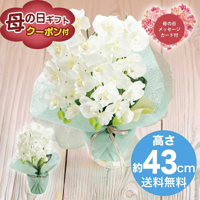 ＼期間限定500円OFFクーポン付／母の日 5/8-10お届け 造花 アーティフィシャルフラワー ミニ胡蝶蘭3本立ち　ホワイト 2026 ギフト HANA 花 hana お祝い プレゼント 胡蝶蘭 5000円 送料無料 [直送商品]