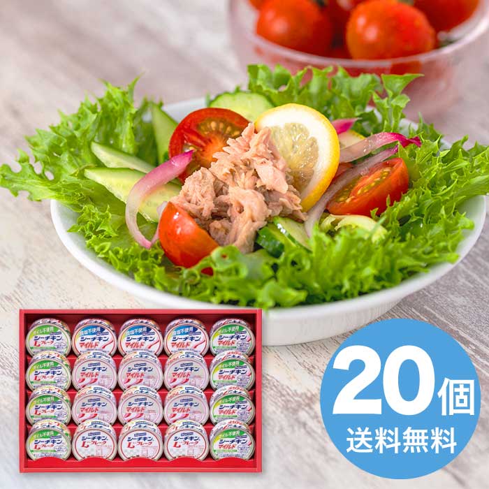 はごろもフーズ シーチキンギフト 2026 ギフト シーチキン 6000円 送料無料 食品 [直送商品]