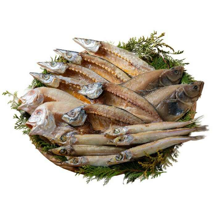 【父の日6/11-15お届け】 山陰海鮮 一夜干し セット 2025 ギフト 魚介 5395円 冷凍 送料無料 メッセージカード 食品