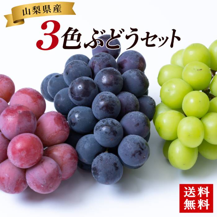 【マラソン期間P5倍 7/26 1:59迄】 山梨県産 3色ぶどう(緑・赤・黒) シャインマスカット 富士の輝き サニードルチェ 種無し巨峰 ピオーネ等 (品種指定不可) [予約直送]【綿半お中元】【7月後半～8月中旬順次発送】【配送指定日不可】｜うまいる