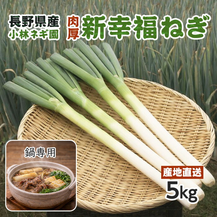 ★泥ネギ20kg★ 20kg》葱華屋の泥付き